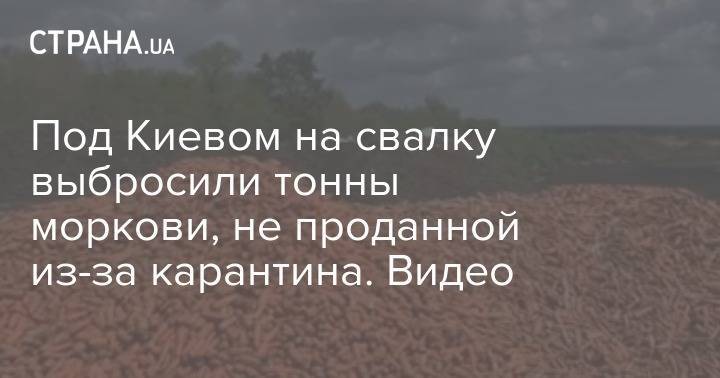 Под Киевом на свалку выбросили тонны моркови, не проданной из-за карантина. Видео - strana.ua - Киев