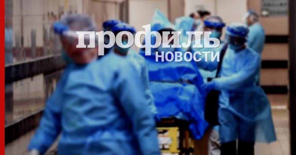 Ученые смоделировали пик пандемии коронавируса в России - profile.ru - Россия - Уфа