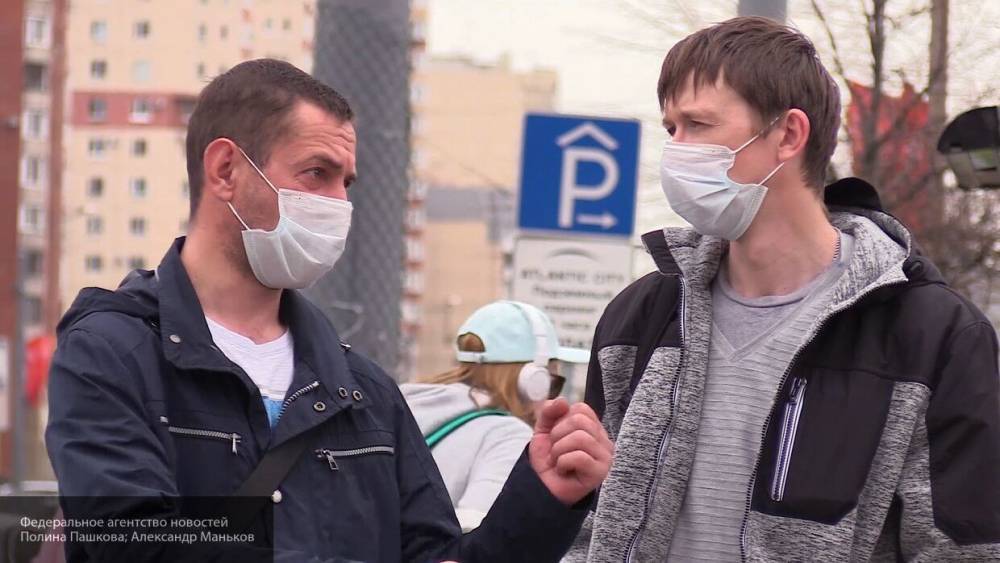 Защитное действие медицинских масок доказали в эксперименте с хомяками - nation-news.ru - Гонконг