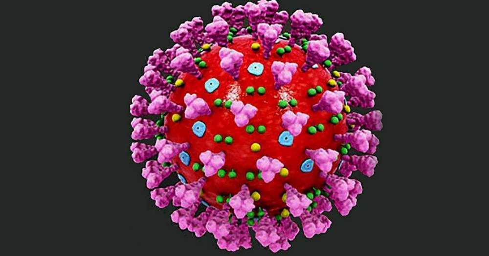 В России провели более 7 млн тестов на коронавирус - ren.tv - Россия