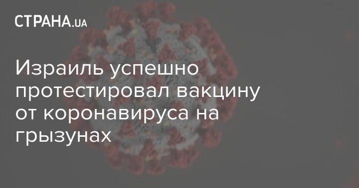 Израиль успешно протестировал вакцину от коронавируса на грызунах - strana.ua - Украина - Израиль