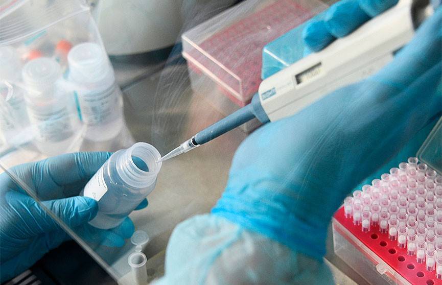 Алок Шарма - В Оксфорде к сентябрю планируют запустить производство вакцины от коронавируса - ont.by - Англия