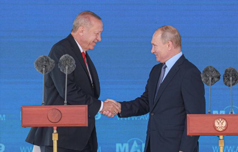 Путин и Эрдоган договорились сплотиться в борьбе с коронавирусом - news.ru - Россия