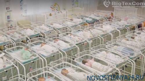 Иностранцам разрешили въезжать в Украину, чтобы забрать младенцев - novostidnya24.ru - Украина