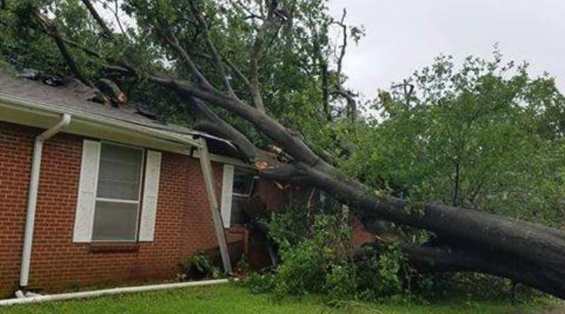 В Техасе – торнадо и водяной смерч: стихия вырвала с корнем деревья и разрушила здания - usa.one - штат Техас