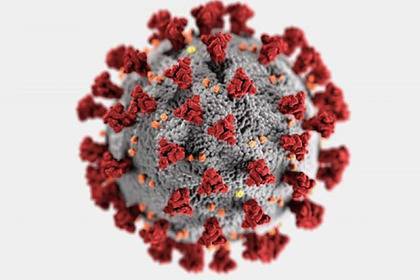 Предсказан катастрофичный уровень смертности от коронавируса - lenta.ru - Сша - Вашингтон