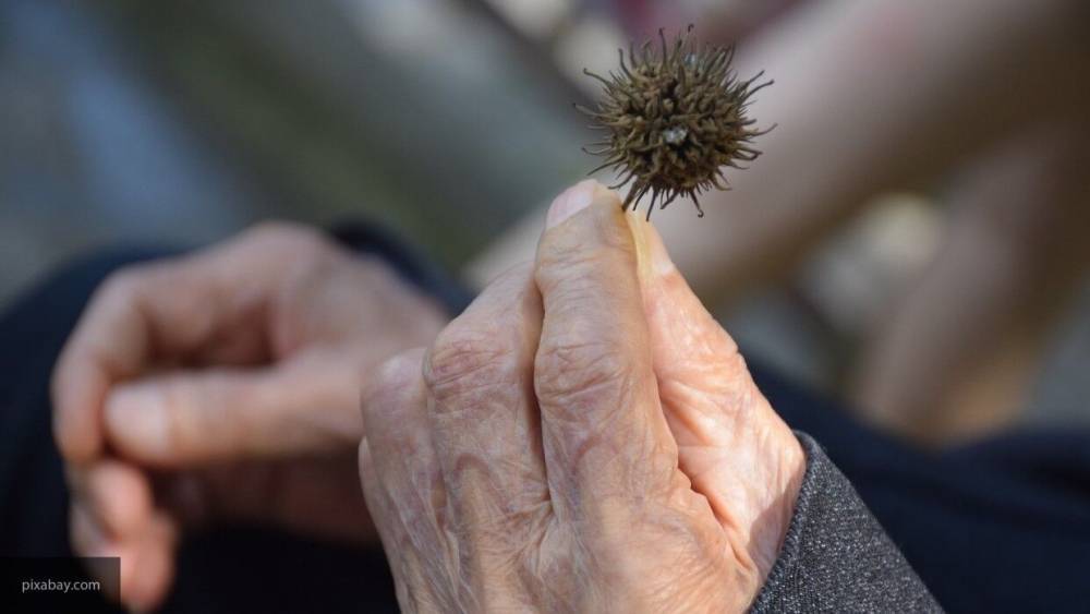 Две бабушки в 101-летнем возрасте успешно оправились от коронавируса - inforeactor.ru