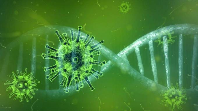 Учёные нашли людей, невосприимчивых к коронавирусу - piter.tv - Швейцария