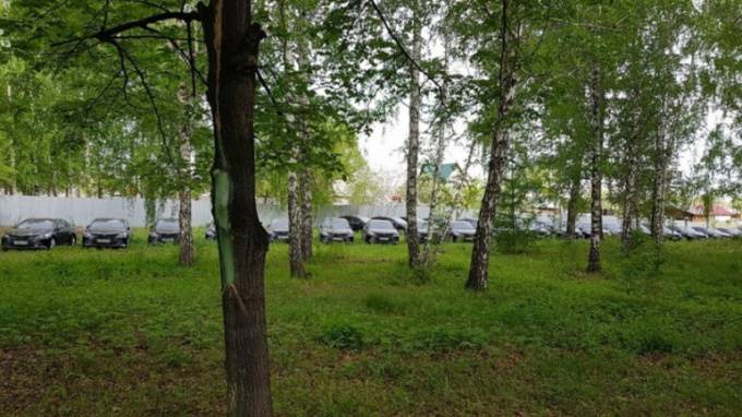 В челябинском лесу нашли десятки новых иномарок - piter.tv - Челябинск