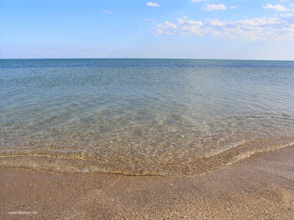 Несмотря на карантин и запреты на курортах Азовского моря открыли пляжный сезон (ВИДЕО) - inform.zp.ua