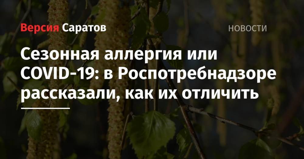 Сезонная аллергия или COVID-19: в Роспотребнадзоре рассказали, как их отличить - nversia.ru