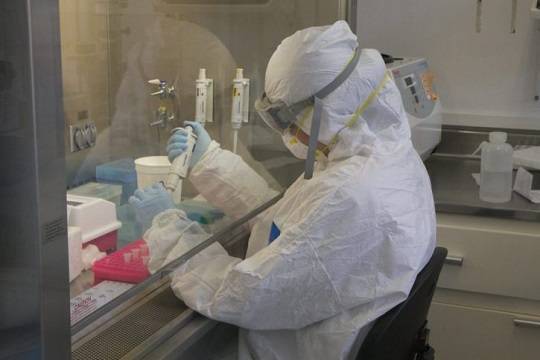 Учёные из Сингапура обновили прогноз по срокам окончания вспышки коронавируса в РФ - versia.ru - Россия - Сингапур - Сингапур
