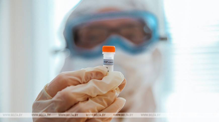 Количество инфицированных коронавирусом в мире увеличилось за сутки почти на 92 тыс. - belta.by - Минск