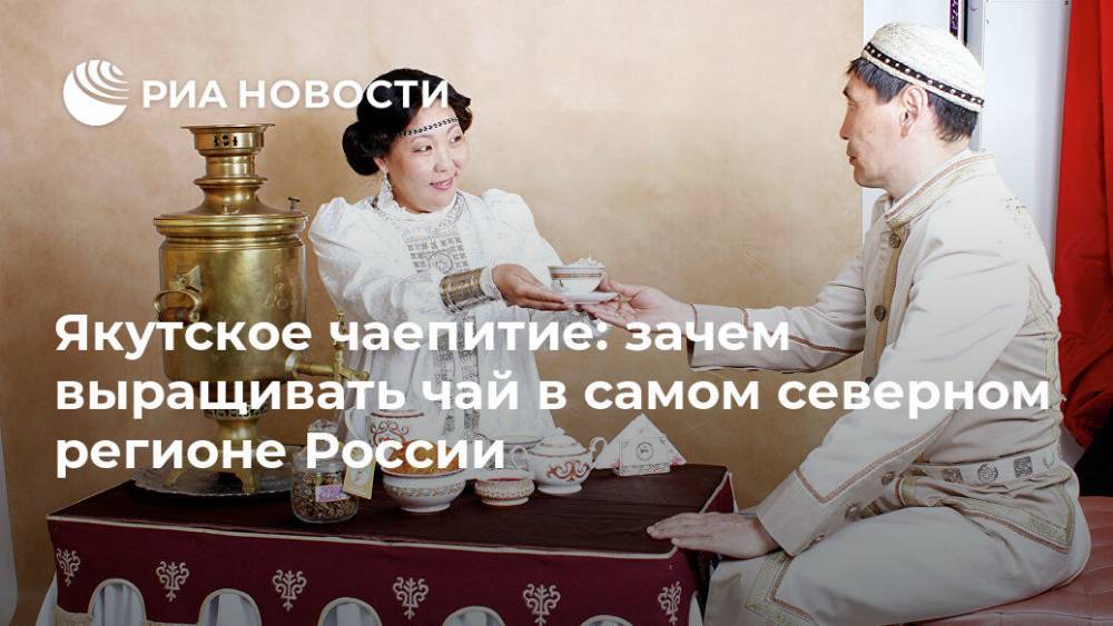 Якутское чаепитие: зачем выращивать чай в самом северном регионе России - ria.ru - Россия - Москва - республика Саха
