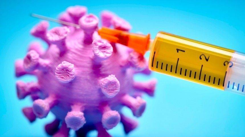 Татьяна Голикова - В России разрабатывают 47 вакцин от коронавируса на 14 платформах - 5-tv.ru - Россия