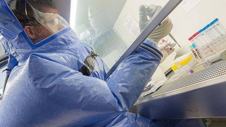 Как появился коронавирус и почему сеть биолабораторий США бездействует в пандемию - newizv.ru - Сша