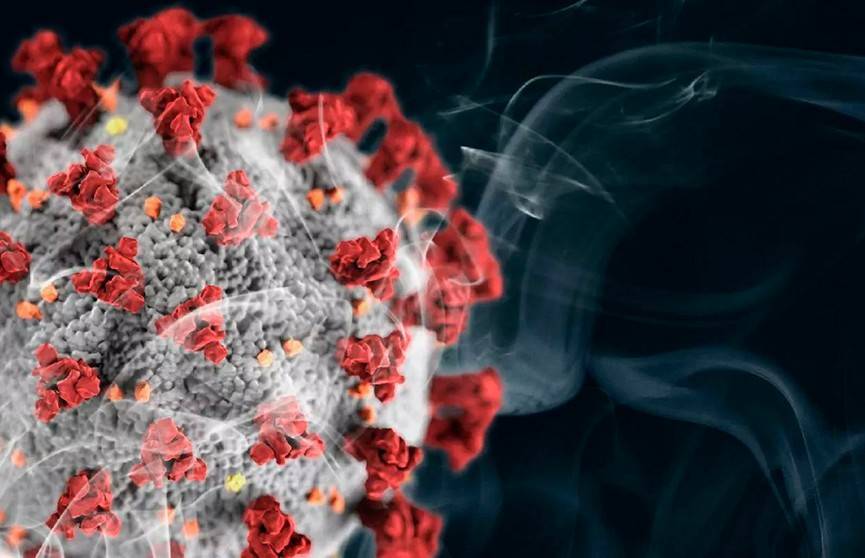 Ученые объяснили, почему курильщики более подвержены коронавирусу - ont.by - Сша