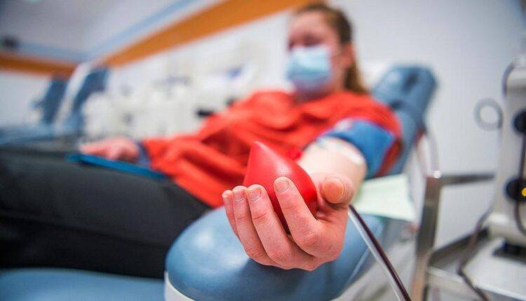 В Подмосковье начали исследовать кровь доноров на антитела к COVID-19 - newtvnews.ru - Московская обл.