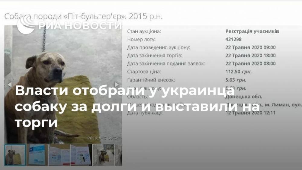 Власти отобрали у украинца собаку за долги и выставили на торги - ria.ru - Москва