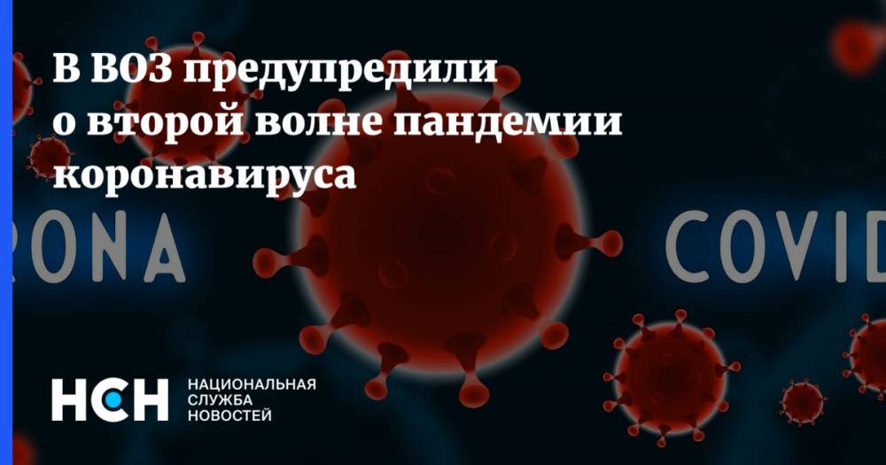 Дмитрий Морозов - В ВОЗ предупредили о второй волне пандемии коронавируса - nsn.fm - Россия