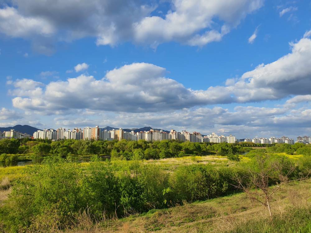 Сегодня погода на 21 мая в Запорожской области будет теплая, но облачная - inform.zp.ua - Украина - Запорожье - Запорожская обл.
