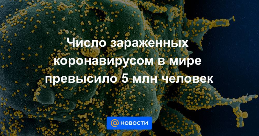 Число зараженных коронавирусом в мире превысило 5 млн человек - news.mail.ru - Россия - Сша - Англия - Испания - Бразилия