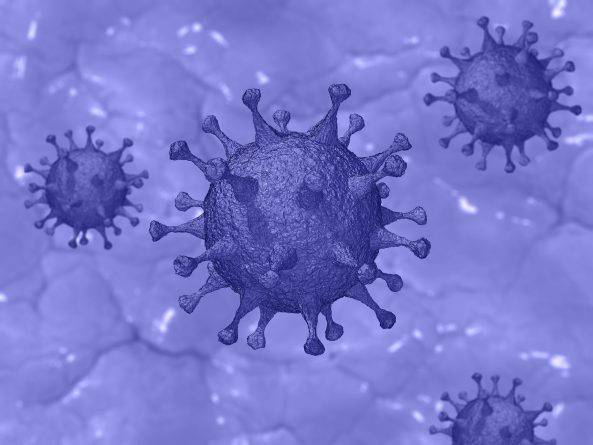 Обнаружены антитела, которые на 100% блокируют коронавирус и выводят его из организма за 4 дня - usa.one