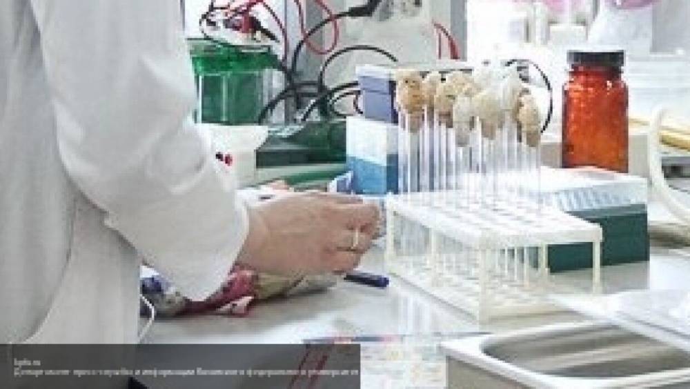 Михаил Воевода - Сибирские ученые начали разработку вакцины от COVID-19 - nation-news.ru - Россия