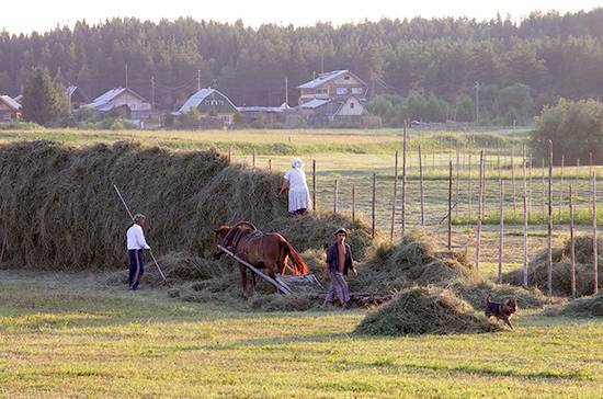 Глава МВД Эстонии поддержал запрет на участие украинцев в сезонных работах на селе - pnp.ru - Украина - Эстония