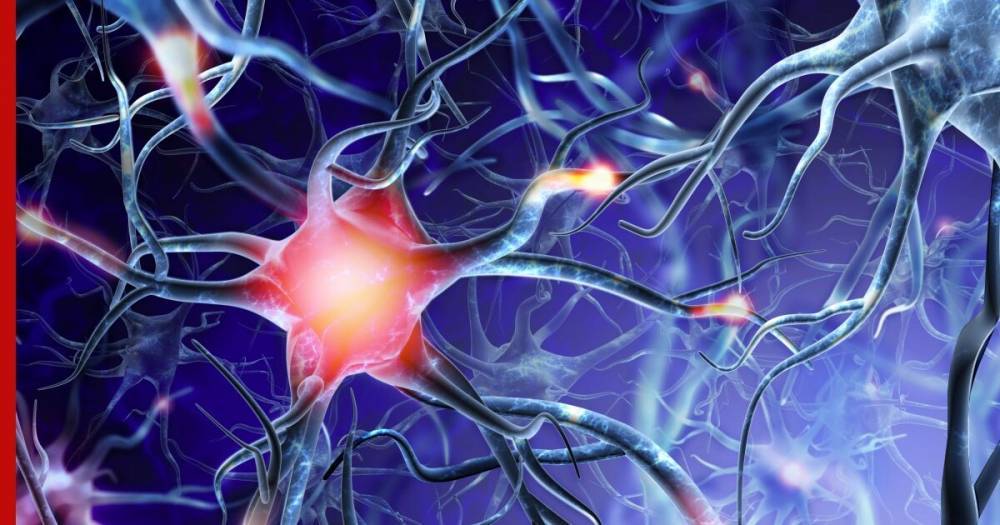 Ученые объяснили влияние COVID-19 на нейроны мозга - profile.ru - Франция - Германия