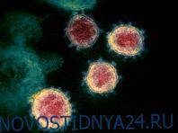 Генетики исследовали разные типы коронавируса, распространившиеся по миру - novostidnya24.ru - Россия - Москва - Сша - Ухань - Иран