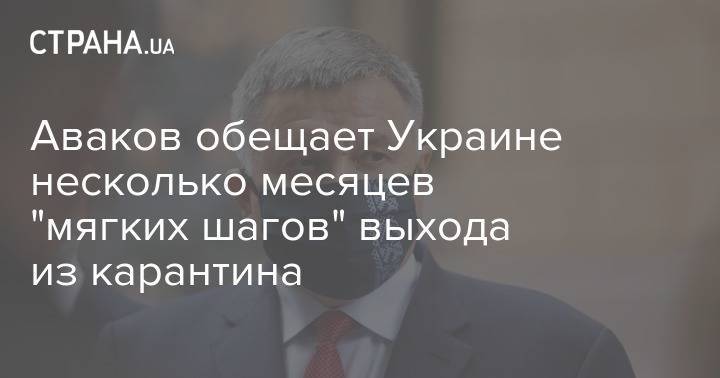 Арсен Аваков - Аваков обещает Украине несколько месяцев "мягких шагов" выхода из карантина - strana.ua - Украина
