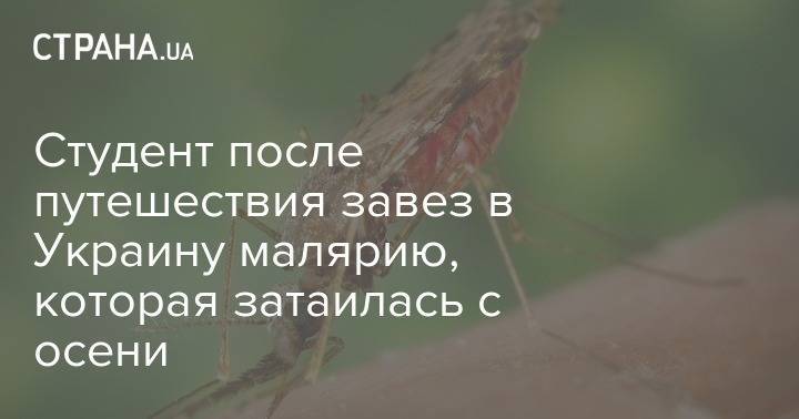 Студент после путешествия завез в Украину малярию, которая затаилась с осени - strana.ua - Украина - Харьков - Минздрав