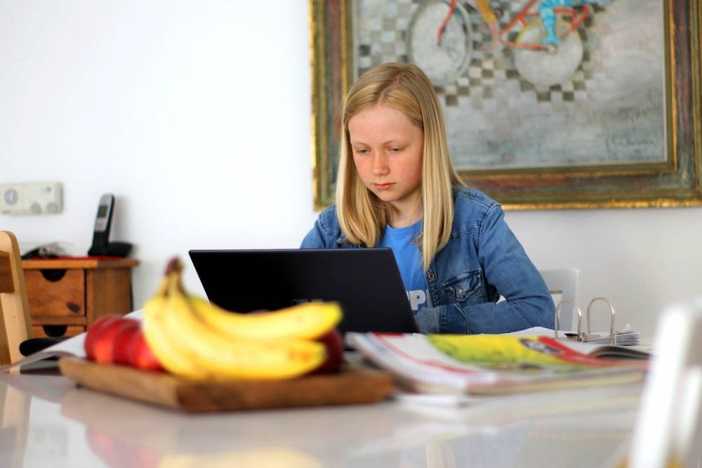 Игорь Карпенко - В Беларуси к концу года может появиться единая онлайн-платформа для школьников - naviny.by - Белоруссия