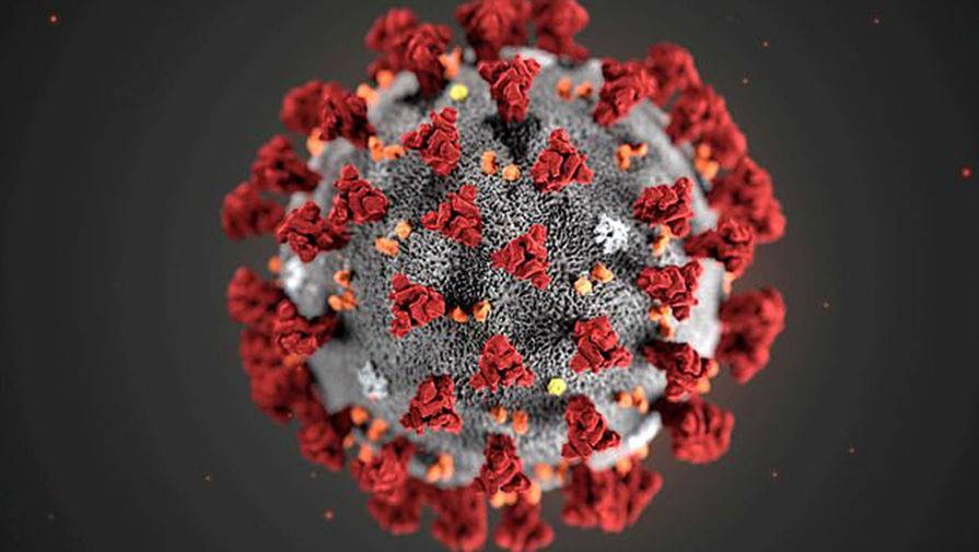 В Иране пятый день подряд суточный прирост случаев коронавируса выше двух тысяч - gazeta.ru - Ухань - Иран - Минздрав
