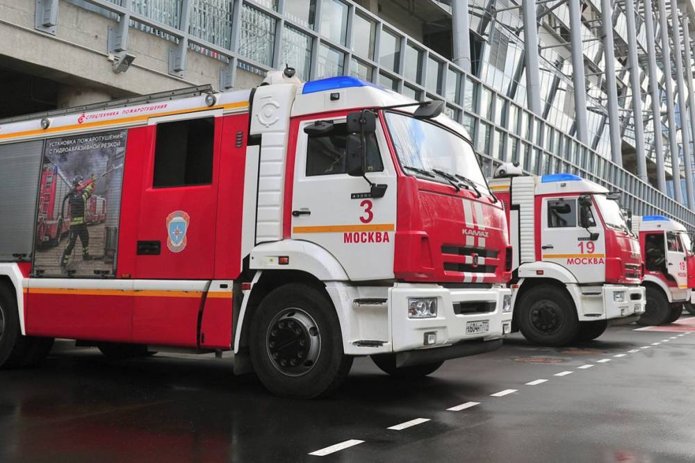 Столичные спасатели помогли с госпитализацией пациента весом более 200 килограмм - vm.ru - Москва
