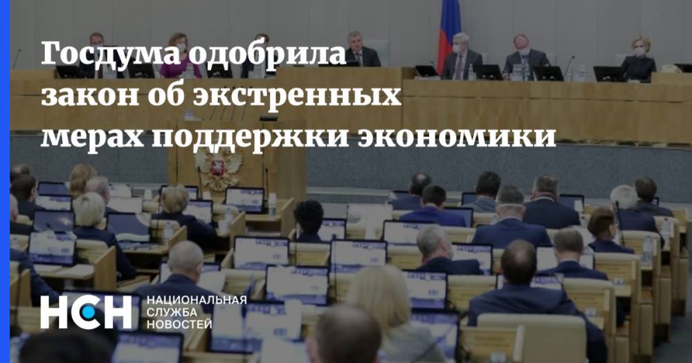 Госдума одобрила закон об экстренных мерах поддержки экономики - nsn.fm - Россия