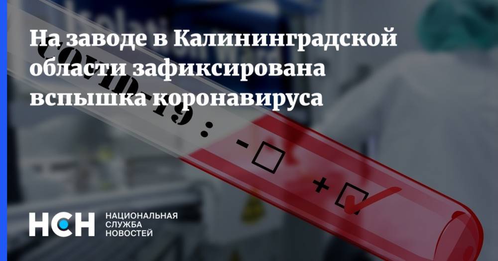 На заводе в Калининградской области зафиксирована вспышка коронавируса - nsn.fm - Калининградская обл.