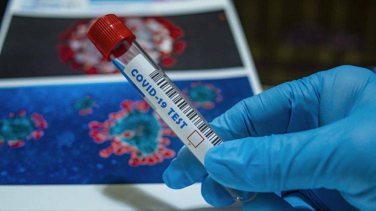 В Бразилии изобрели тест, определяющий COVID на уровне ДНК - crimea.ria.ru - Симферополь - республика Крым - Бразилия