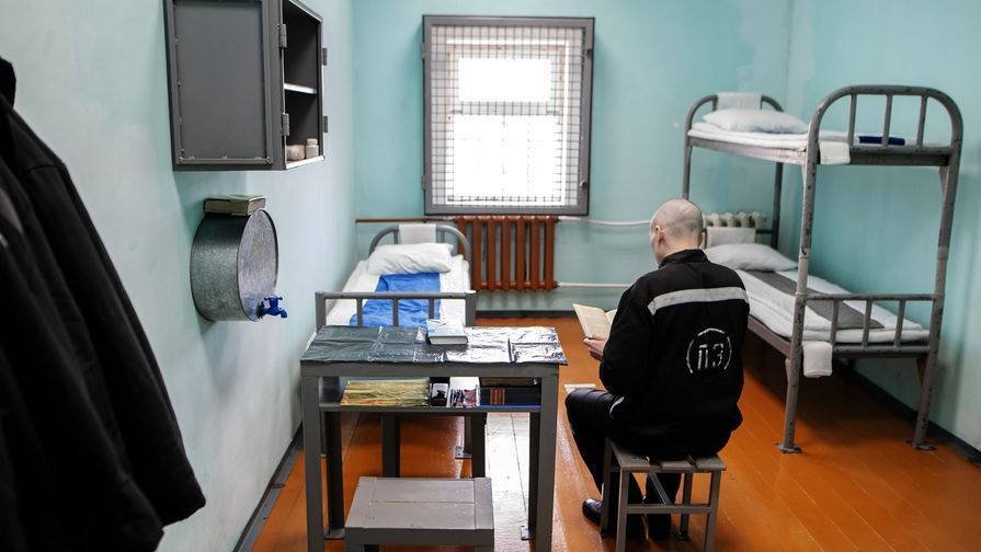 В Совфеде предложили дать заключенным право общаться с родными по видеосвязи - gazeta.ru - Россия