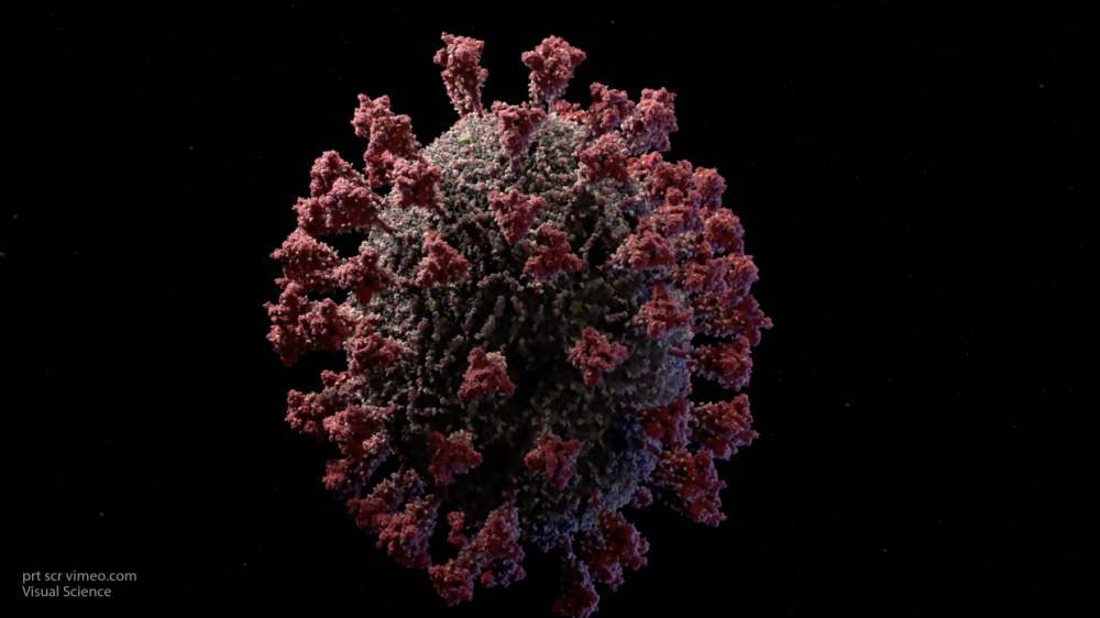 Ученые подсчитали длительность иммунитета к коронавирусу - inforeactor.ru