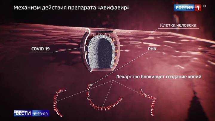 В России выпущен первый и самый мощный препарат от COVID-19 - vesti.ru - Россия