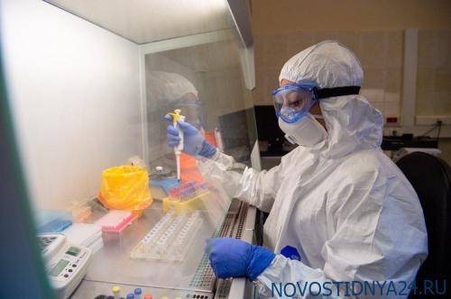 В России с начала распространения эпидемии провели более 8,4 млн тестов на коронавирус - novostidnya24.ru - Россия