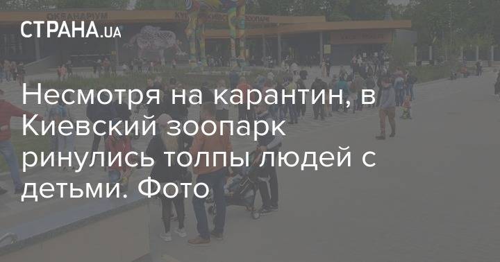 Несмотря на карантин, в Киевский зоопарк ринулись толпы людей с детьми. Фото - strana.ua