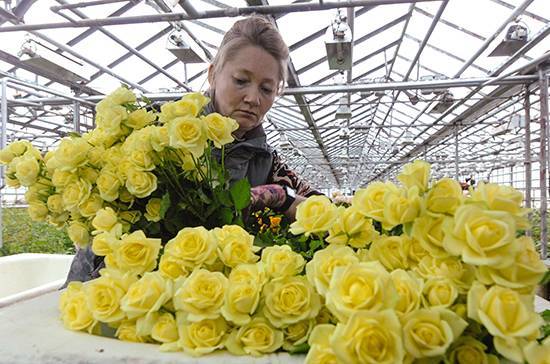 Валентин Матвиенко - В Совете Федерации предлагают освободить от НДС ряд производителей цветочной продукции - pnp.ru