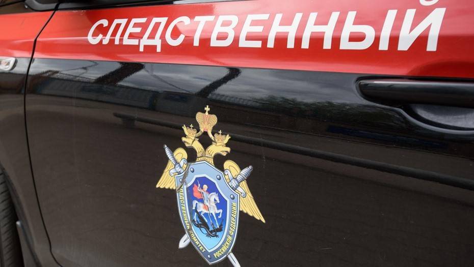 СК начал проверку смерти петербурженки, к которой отказалась приезжать скорая - dp.ru - Россия - Санкт-Петербург