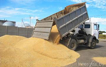 Зафиксирован необъяснимый всплеск вывоза зерна из России в Беларусь - charter97.org - Россия - Белоруссия - Смоленская обл.