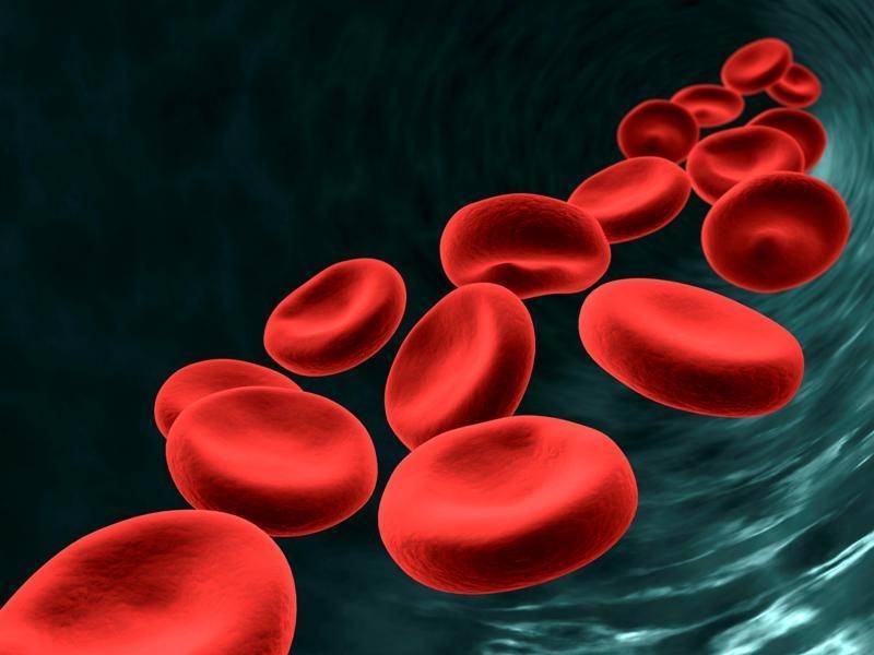 Ученые проверят, как переносят коронавирус жертвы рака крови - sobesednik.ru - Англия