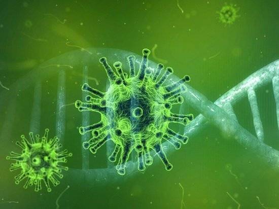 Ученые усомнились в источнике происхождения коронавируса из-за его удивительной способности - newtvnews.ru - Мельбурн