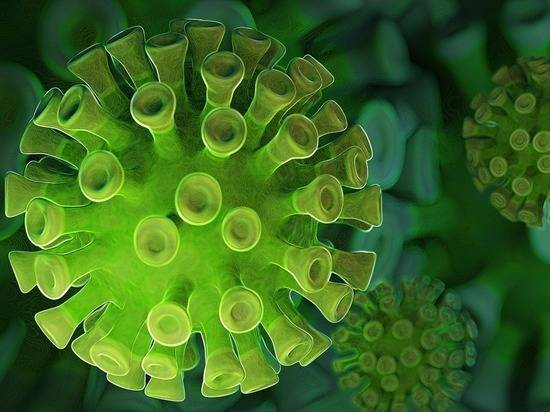 Австралийский ученый предложил версию происхождения коронавируса: идеально приспособлен для заражения - newtvnews.ru